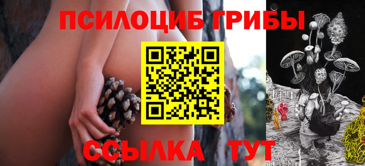 Псилоцибиновые грибы GOLDEN TEACHER Ростов Великий